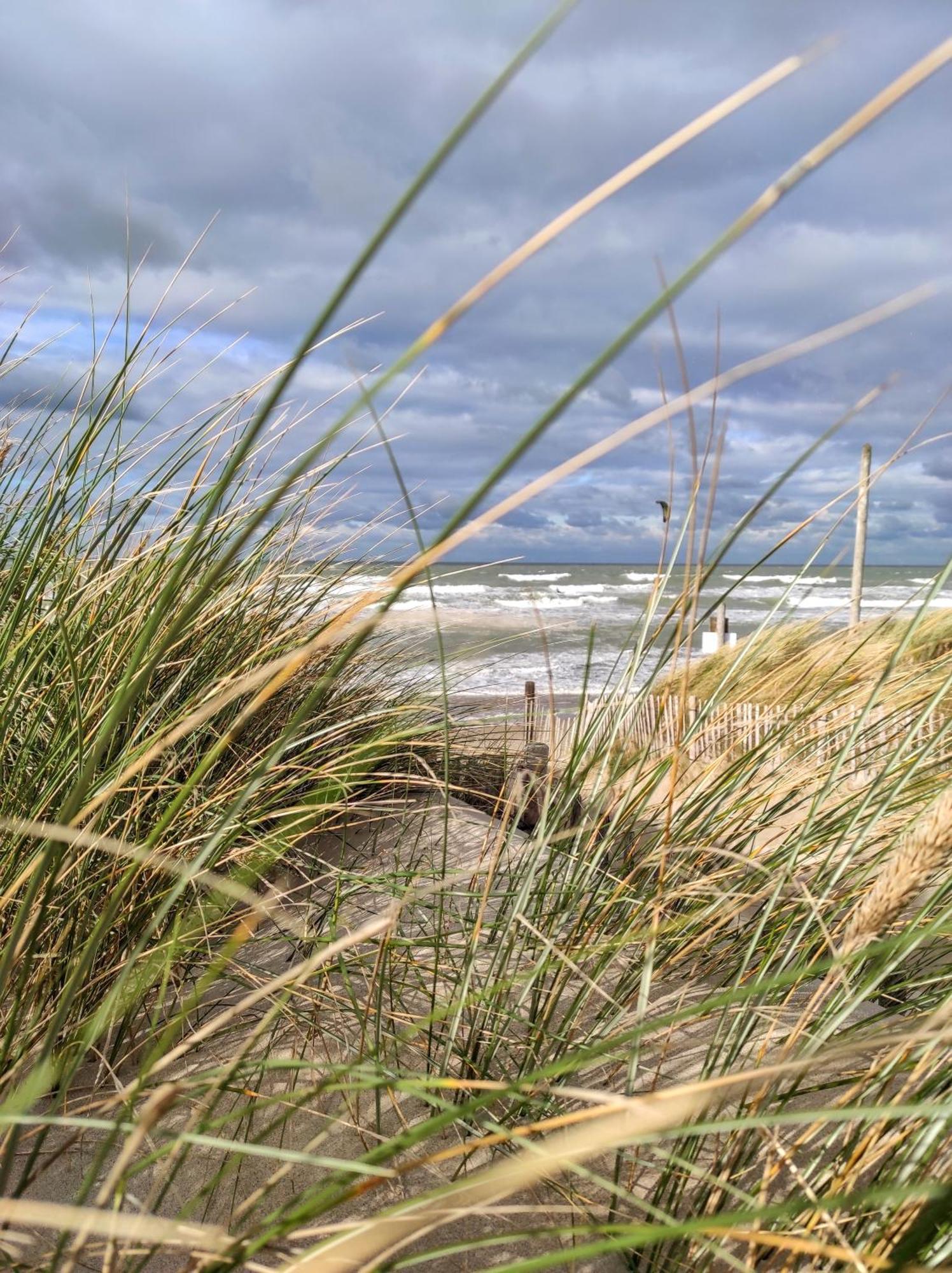 Maison Familiale De Vacances Bray-Dunes Exteriör bild